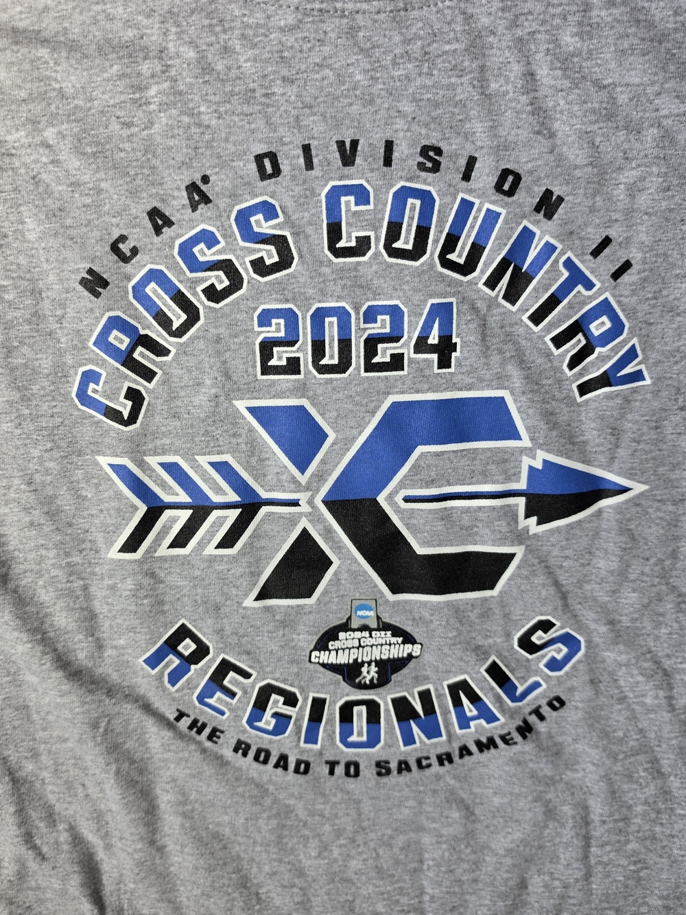 Champion Men’s Gray 2024 Cross Country Regionals Graphic Tee - Picture 5 of 6